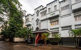 Treebo Prasha